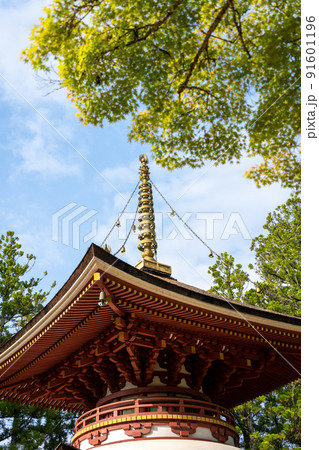 【和歌山県】 金堂 【和歌山県】 金堂 91601196