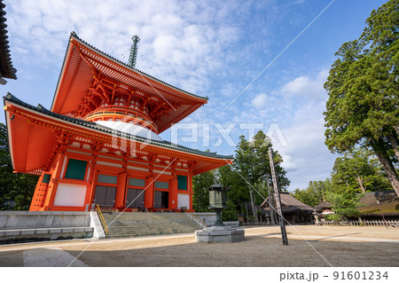 【和歌山県】 金堂 【和歌山県】 金堂 91601234