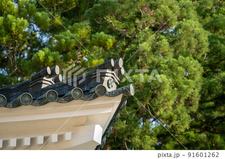 【和歌山県】 金堂 【和歌山県】 金堂 91601262