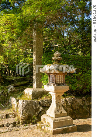 【和歌山県】 金堂 【和歌山県】 金堂 91601270