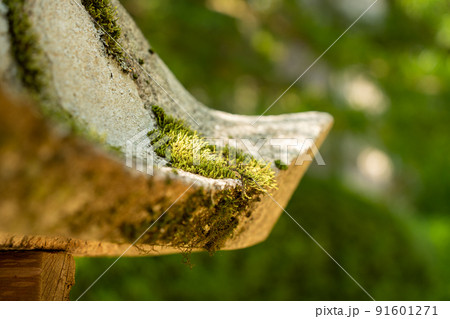 【和歌山県】 金堂 【和歌山県】 金堂 91601271