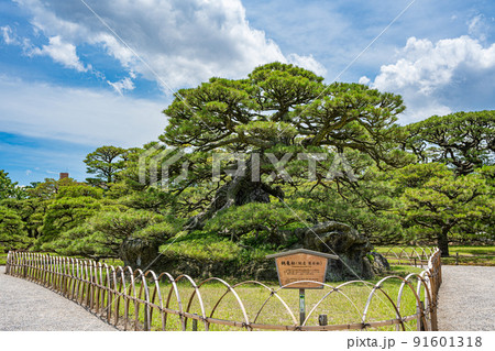 【高松市】栗林公園　鶴亀松 91601318