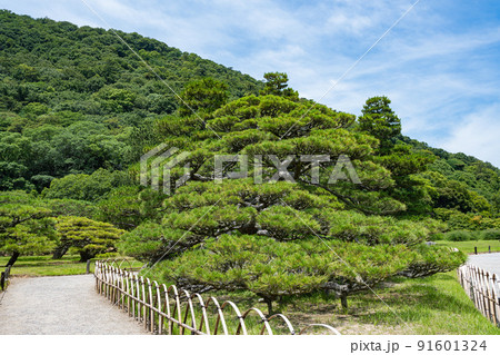 【高松市】栗林公園　鶴亀松 91601324