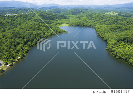 北海道 白老のポロト湖を空撮（ウポポイ隣接の湖） 91601417
