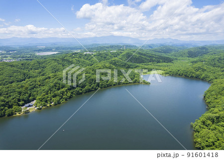 北海道 白老のポロト湖を空撮（ウポポイ隣接の湖） 91601418