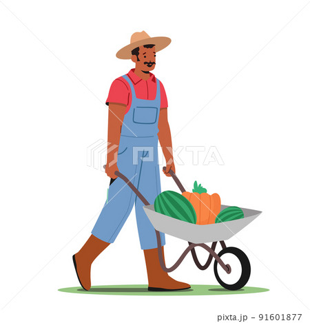 Man Pick Harvest to Wheelbarrow in Orchard. Gardener Character Seasonal Work on Farm. Farmer Harvesting Ripe Fruits 91601877