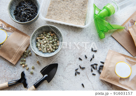 Microgreen seeds in paper bags and equipment for sowing microgreens. 91603157