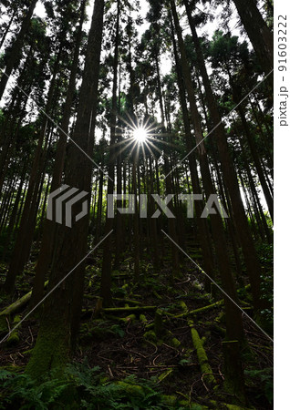多紀連山より 多紀連山より 91603222