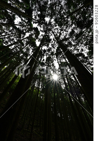 多紀連山より 多紀連山より 91603228