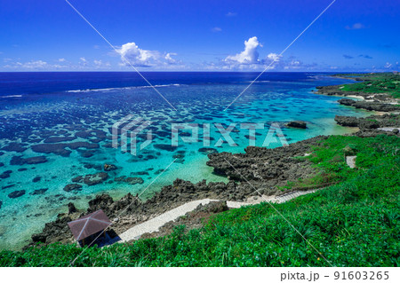 インギャーマリンガーデン(宮古島) インギャーマリンガーデン(宮古島) 91603265