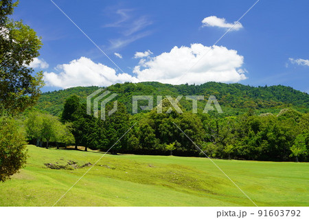 梅雨明けの日・爽やかな奈良公園・飛火野 梅雨明けの日・爽やかな奈良公園・飛火野 91603792