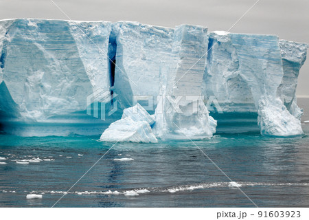 Antartica - Tabular Iceberg in Bransfield Strait 91603923