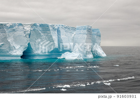 Antartica - Tabular Iceberg in Bransfield Strait 91603931