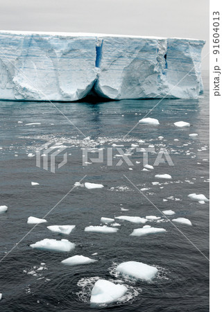 Antartica - Tabular Iceberg in Bransfield Strait 91604013