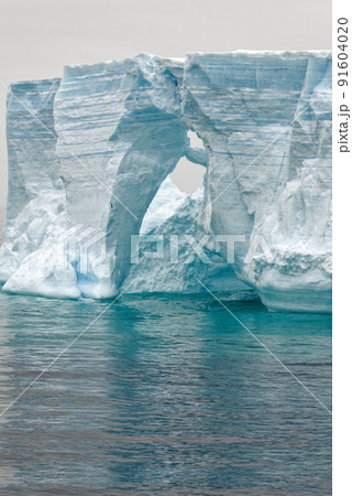Antartica - Tabular Iceberg in Bransfield Strait 91604020