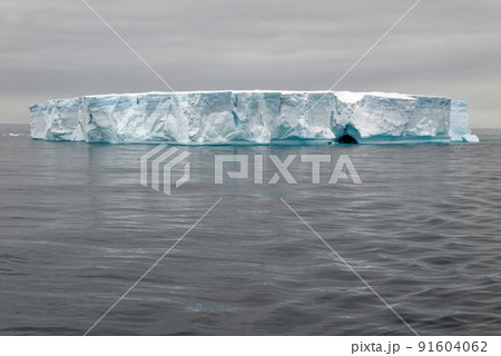 Antartica - Tabular Iceberg in Bransfield Strait 91604062