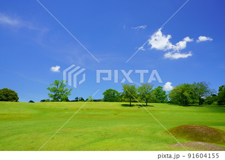 梅雨明けの日・爽やかな奈良公園・飛火野 91604155