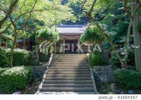 《熊本県》天草の﨑津集落　天草市河浦町﨑津一帯の風景 91604307