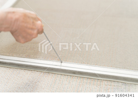 網戸張替え　網押えゴムを剥がす作業 91604341