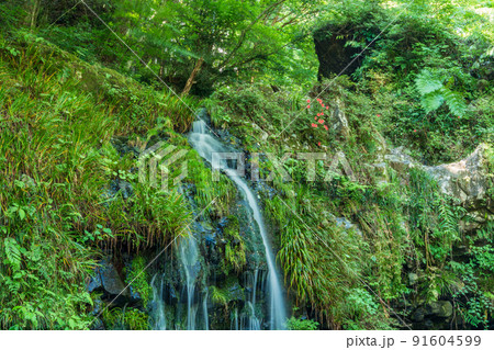 （静岡県）陣馬の滝　（スローシャッター） 91604599