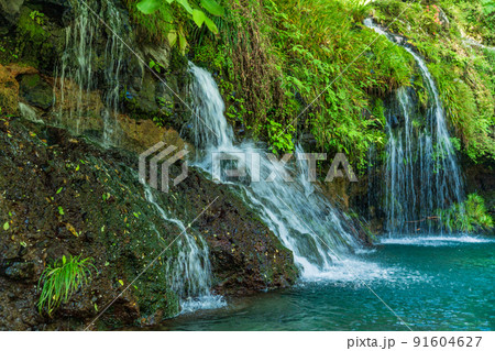（静岡県）陣馬の滝　（高速シャッター） 91604627