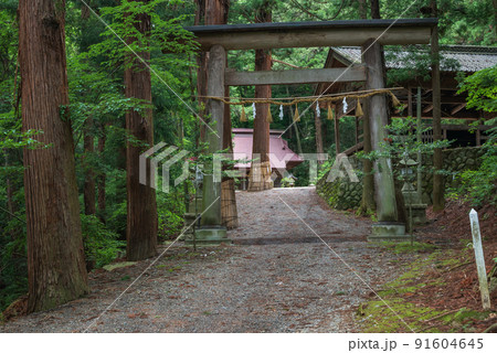 【安曇野市天然記念物】田沢神明宮社叢 【安曇野市天然記念物】田沢神明宮社叢 91604645
