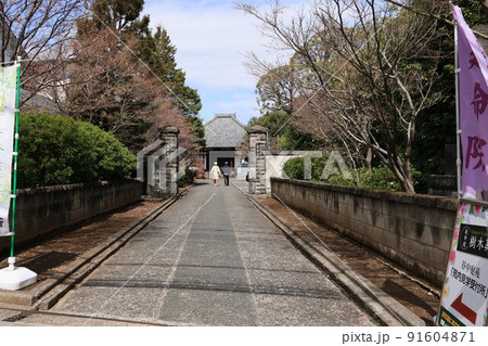 東京都荒川区寶珠山延命院参道の風景 東京都荒川区寶珠山延命院参道の風景 91604871