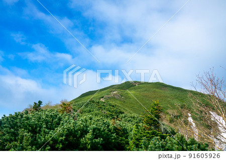 小仙丈尾根から見る小仙丈岳 初夏 小仙丈尾根から見る小仙丈岳 初夏 91605926