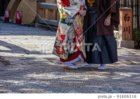 祇園白川の桜 91606316