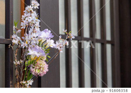 祇園白川の桜 祇園白川の桜 91606358