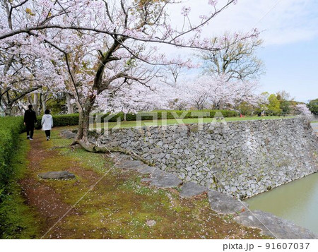 八代城跡の石垣を歩く (熊本県八代市) 八代城跡の石垣を歩く (熊本県八代市) 91607037