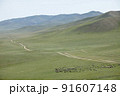 モンゴルの草原、山、動物、どこまでも続く道 91607148