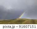 雨上がりのモンゴルの大地と虹 91607151