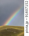 雨上がりのモンゴルの大地と虹 91607152
