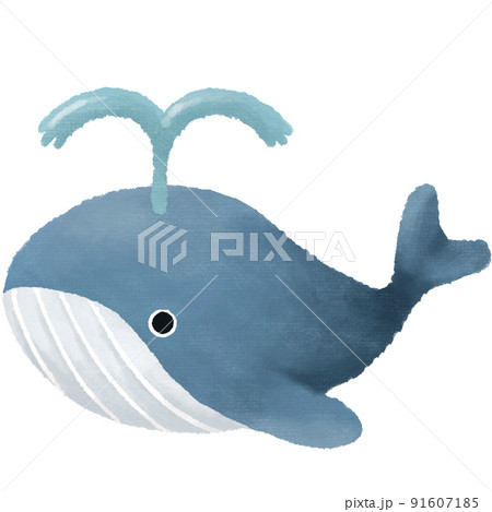 潮をふくクジラ 91607185
