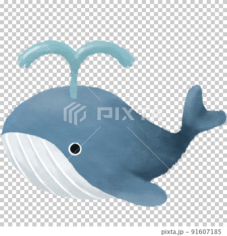 潮をふくクジラ 91607185