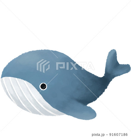 クジラ 91607186