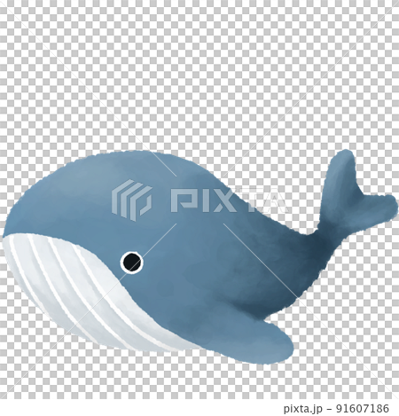クジラ 91607186