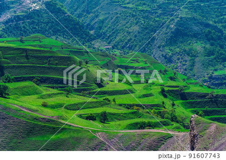 mountain landscape with green agricultural terraces on the slopes 91607743