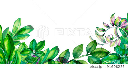 Colorful foliage, green and pink leaves board watercolor illustration 91608225