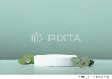 Abstract empty white podium with eucalyptus leaves on blue background Abstract empty white podium with eucalyptus leaves on blue background 91608226