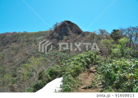 氷ノ山への登山道とこしき岩 兵庫県養父市 氷ノ山への登山道とこしき岩 兵庫県養父市 91608613