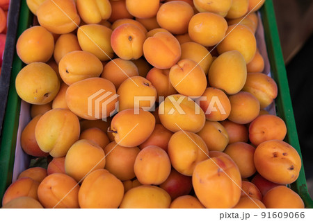 Lots of fresh apricots for sale in the market Lots of fresh apricots for sale in the market 91609066