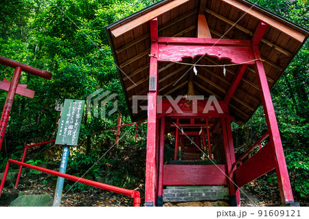 広島東照宮の境内社、金光稲荷神社の赤い鳥居が並ぶ御遺訓参道風景です。お守り写真にいかがですか。広島県 広島東照宮の境内社、金光稲荷神社の赤い鳥居が並ぶ御遺訓参道風景です。お守り写真にいかがですか。広島県 91609121