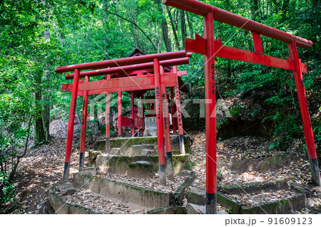 広島東照宮の境内社、金光稲荷神社の赤い鳥居が並ぶ御遺訓参道風景です。お守り写真にいかがですか。広島県 91609123