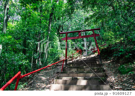 広島東照宮の境内社、金光稲荷神社の赤い鳥居が並ぶ御遺訓参道風景です。お守り写真にいかがですか。広島県 広島東照宮の境内社、金光稲荷神社の赤い鳥居が並ぶ御遺訓参道風景です。お守り写真にいかがですか。広島県 91609127
