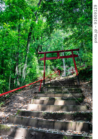広島東照宮の境内社、金光稲荷神社の赤い鳥居が並ぶ御遺訓参道風景です。お守り写真にいかがですか。広島県 91609129