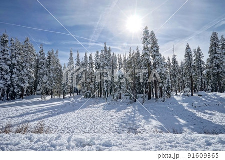 根雪 雪積 積雪 91609365