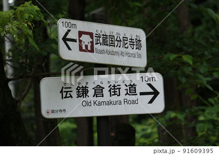武蔵国分尼寺跡と伝鎌倉街道の案内標識 武蔵国分尼寺跡と伝鎌倉街道の案内標識 91609395