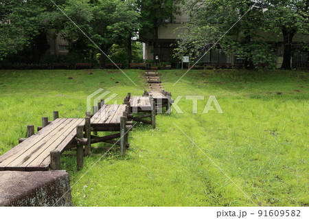さいたま市大宮第二公園の菖蒲田の風景 さいたま市大宮第二公園の菖蒲田の風景 91609582